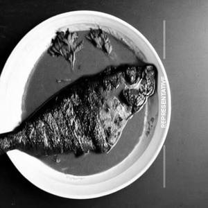Butter Fish