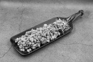 Corn Crispy