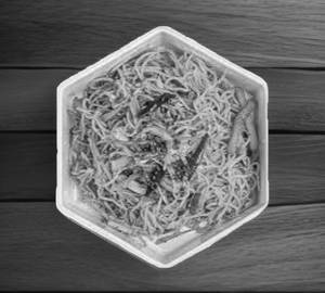 Chilli Garlic Noodles