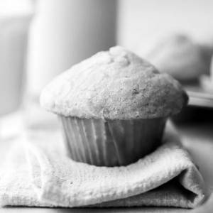 Vanilla Cupcake