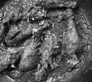 Chicken bhuna masala