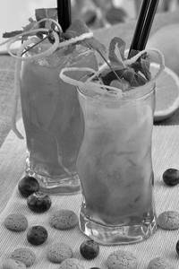 Cranberry Basil Cooler