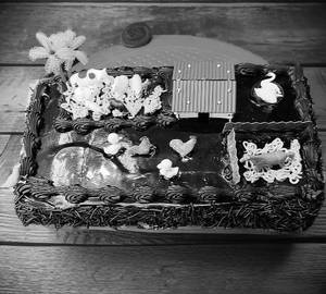 Farm house cake [1 kg]