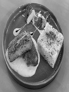 Fish Steak