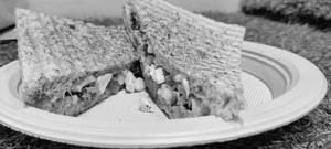 Diet Grilled Sandwich