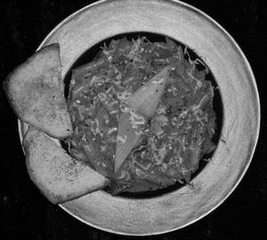 Arrabiata Red Sauce Pasta