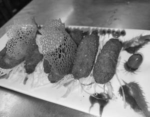 Fish Finger