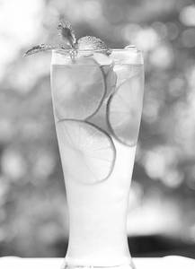 Fresh Lime Juice