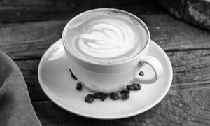 Cappuccino Chocolate