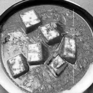 Paneer Chatpat