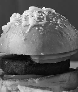 Vegetable Burger