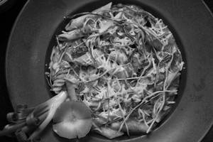 Al Ricotta Pasta