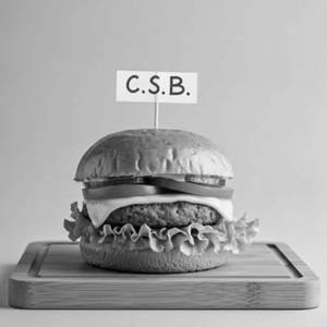 Veg Cheese Burger