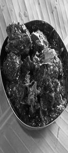 Chicken Pepper Fry (boneless)