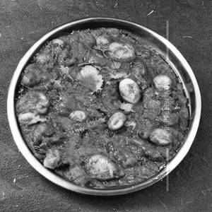 Tulunad Surmai Slice Gassi