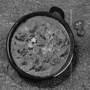 Rawas Masala