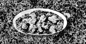 Chicken Patiala