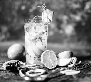 Mojito