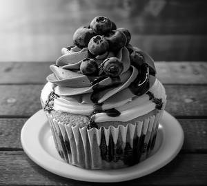 Blueberry Cupcake (Pack of 6)