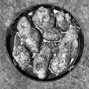 Lemon Chicken