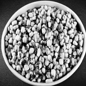 Sweet Corn