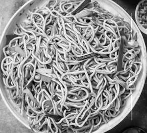 Hakka noodles