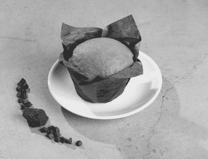 Vanilla Muffin.