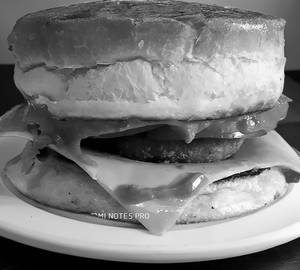 Garlic Cheese Burger (Spicy)