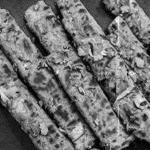 Paneer Alishan Kebab Dry