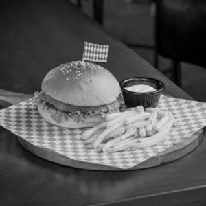 Mexican Veg Burger.