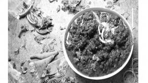 Baingan Masala