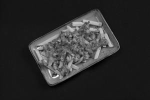 Chicken Loaded Fries (panto Special)