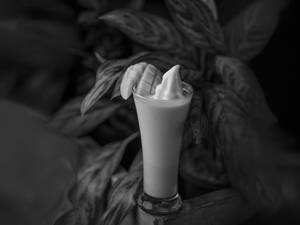 Aphanso Mango Shake