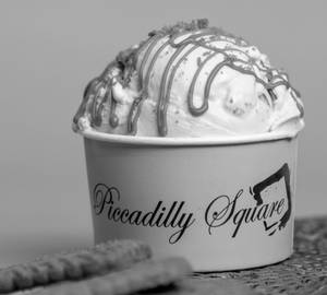 Biscoff Gelato Tub (500Ml)