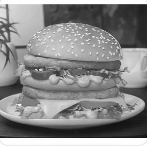 Veg Burger