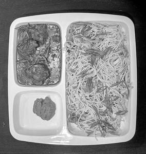 Chicken Manchurian Nooddle