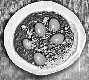 Egg Curry [4 Pieces]