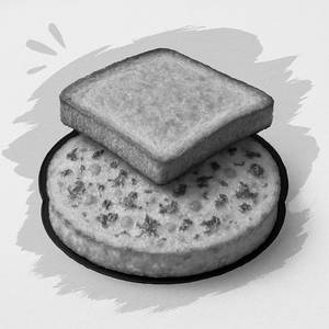 Bread Omlette