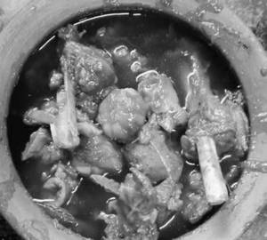 Champaran Mutton Handi [4 Pieces]