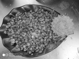 Crispy American Corn
