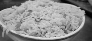 Veg Fried Rice