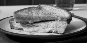 Cheese sandwich