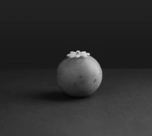 Besan Laddu [5 Pieces]