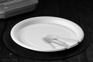 Paper Plate
