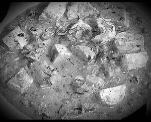 Paneer Begum Bahar