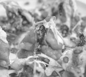 Samosa Chaat