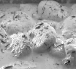 Rasmalai