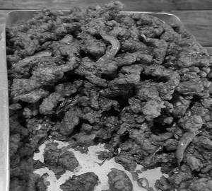 Spicy Cripcy Chicken Strips Half With 2Pics Rumali Roti