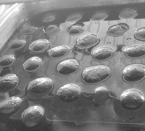 Kala Jamun (2 Pcs)