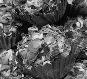 Dry Fruit Rose Laddu